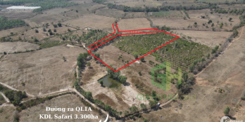 Bán vườn điều chỉ 150k/m2, sổ chính chủ. đường ô tô, xung quanh khu dân cư, farm