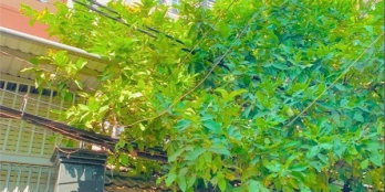 Khuông Việt, Tân Phú – Gần Đầm Sen, Hẻm 6m, 100m2, 4 tầng, 9.3 tỷ.