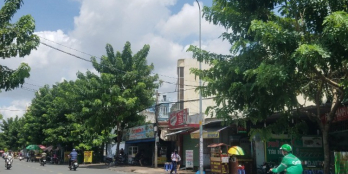 Bán Gấp ! MT Trần Thái Tông Tân Bình 6x20 nở hậu Giá chỉ 127tr/m2 ( 17 Tỷ )