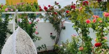 Bán nhà mặt tiền đường Hoàng Sa quận 1 DT 4m x 18m giá 19 tỷ TL