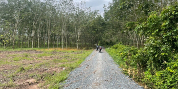 Đất Gò Dầu Giá Tốt Có Thổ Cư, Sát Bên KCN Hiệp Thạnh