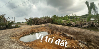 300m2 sổ hồng riêng đ.xe hơi tới tận đất ko vướng quy hoạch giá chỉ 300tr