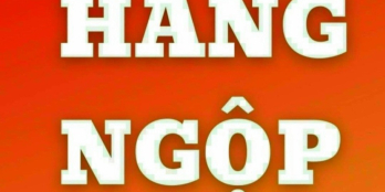 Bán nhà mặt tiền đường Lê Thị Riêng . P. Bến Thành . Q1. 3 lầu . Giá 23 tỷ