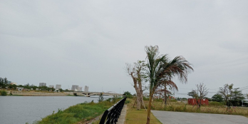 2.45 tỷ. Bán Đất biển Tân Trà, NHS. Cạnh Sông Cổ Cò, gần biển. 100m2