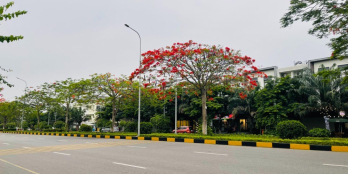 Cho thuê shophouse kinh doanh 280m2 xây 3 tầng tại Centa City, KĐT VSIP Bắc Ninh