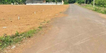 Đất Đồng Phú 200m2 Thổ Cư Sổ Sẵn Đường Nhựa 12m Giá Đầu Tư