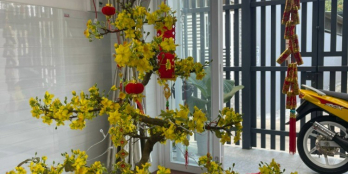 Nhà Hẻm Phố cho đôi vợ chồng trẻ, gần biển , giá rẻ