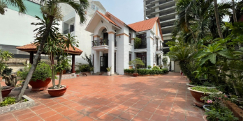 Cô Chú Lớn Tuổi, Cho Thuê Biệt Thự Gần 600mv Đường Lê Thị Chợ, Phú Thuận, Quận 7