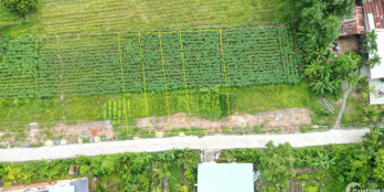 Bán gấp 260m2 thổ cư Gò Dầu, Tây Ninh liên kề KCN Phước Đông giá đầu tư Tháng 5