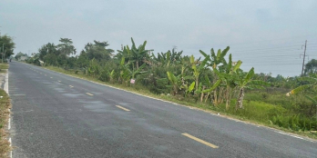 CHÍNH CHỦ BÁN LÔ ĐẤT RỘNG ĐẸP CÓ 1-0-2 TẠI LAI VUNG - GIÁ RẺ ĐẦU TƯ