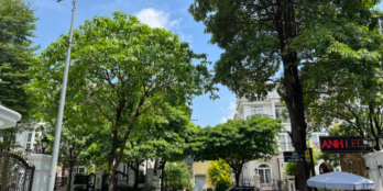 BIỆT THỰ CITYLAND GÒ VẤP ĐẲNG CẤP