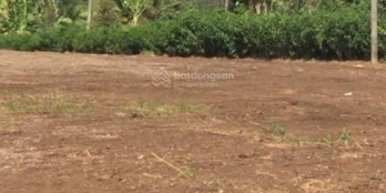 Đất đồng nai quy hoạch lên thổ cư