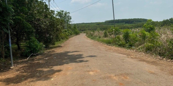 Đất Tân Hưng Đồng Phú 43 Triệu/ m Ngang