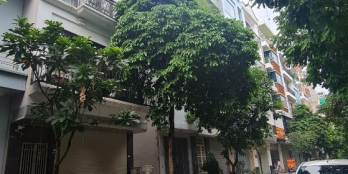 Phân lô phố Nguyễn Công Hoan, Ba Đình, 40m2, 6 tầng, MT 5.2m, ô tô, KD, 13.3 tỷ