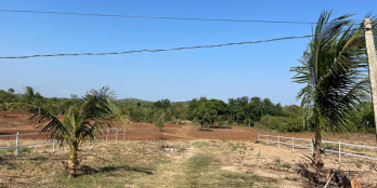 Bán 1 Sào Đất Vườn Đaklak Giá Chỉ 360 Triệu , Ngân Hàng Hỗ Trợ 60%