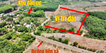 Bà chị định cư nước ngoài cần bán 2000m2 đất sổ sẵn giá 650tr