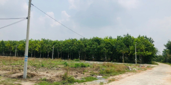 CHÍNH CHỦ: KẸT TIỀN BÁN 550M2 GIÁ 290 TRIỆU NGAY BÊN CHỢ, QUỐC LỘ 13