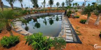 Đất đồi view biển 3000m2 siêu đẹp chỉ 1.5 tỷ - sổ hồng sẵn