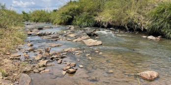 Bán mảnh vườn 1005m2 có thể lên thổ cư ngay khu dân cư hiện hữu