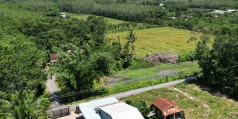 Bán Đất Hiệp Thành Cách Nhựa 30m Gần Trường Tiểu Học Cây Da