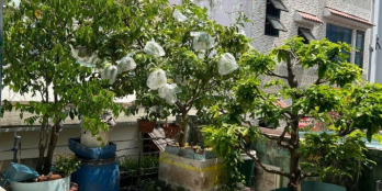 PHAN SÀO NAM - TÂN BÌNH - 102M2 - 2 TẦNG - 8TỶ4.