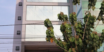 Bán Nhà 6 tầng MT Sát Song Hành, Phước Long A, Tp. Thủ Đức Chỉ hơn 16 tỷ.