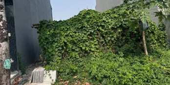 Đầu tư thông minh vào lô đất 150m2 giá 1.3 tỷ vị trí đắc địa tại TP Thuận An BD