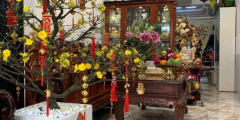 Hẻm XH Hưng Phú Quận 8  nhà đẹp 4T