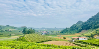 Chính Chủ Bán 3400 m2 có 200 Thổ Cư TK Chiềng đi , TTNT Mộc Châu, Sơn La