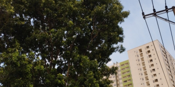 Mỹ Nữ Đặng Văn Bi _ Trường Thọ,xe hơi ôm 72m chỉ 5tỷ,5pn ,hiếm gặp