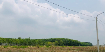 Cần tiền trả nợ, nên tôi cần bán gấp lô đất 300m2 thổ cư, giá 280 triệu, SHR