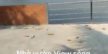 Nhà vườn view sông Vàm Cỏ Đông, 51x63, (4167m2) có 462m2 ONT, 12 tỷ 750 triệu