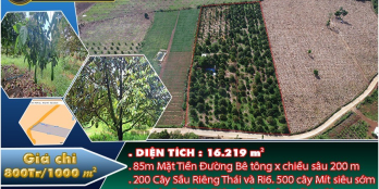 Bán 1,6 hecta đất vườn sầu riêng Thái, Ri6 || Suối Nho, Định Quán, Giá 800tr/sào