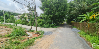 Đất nền chính chủ ngay trường tiểu học Cây Da, Hiệp Thạnh giá 810 triệu