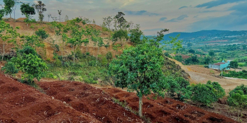 ĐẤT VEN ĐÀ LẠT, VIEW TOÀN TT NAM BAN, CÓ SẴN TC.