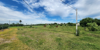 Chính chủ cần bán lô đất nằm trong khu dân cư