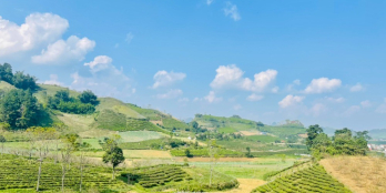 Cắt lỗ đất nền Mộc Châu vị trí đắc địa đón khách, khai thác du lịch ổn định