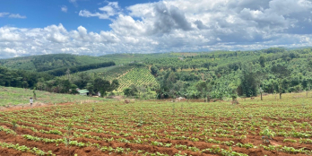 Bán đất đẹp, sổ riêng, đường nhựa liên huyện 335 triệu/1042m2, có quy hoạch thổ