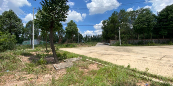 Bán 300m2 đất khu Hoàng Gia, Mỹ Phước 3, Thới Hòa, Bến Cát, Bình Dương