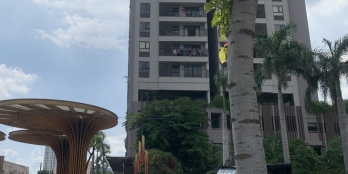 Siêu Phẩm 3 Căn liền kề MTKD Linh Trung ,Thủ Đức DT 350 m2 Giá 22 TỶ