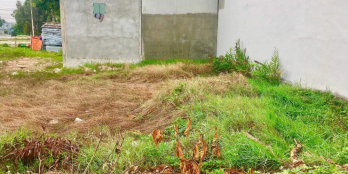 Bán Gấp 2 nên đất thuộc giai đoạn 1 Dự án Cát Tường Phú Sinh Đường D6