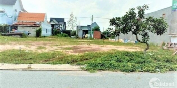 KẸT TIỀN BÁN GẤP 1200m2 ĐẤT SHR-ĐƯỜNG NHỰA 18M -ĐIỆN 3 FA, SÁT CHỢ GIÁ CHỈ 195TR