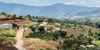 Bán lỗ 8 sào đất Thị trấn Nam Ban chỉ 775tr/sào