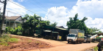 Gia đình cần bán gấp 9 sào đất đang trồng cà phê tại Quảng Tân Tuy Đức chỉ 860tr