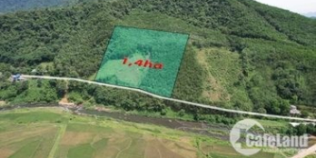 Em có 1,4ha đất bám đường dài 132m tại Kim Bôi