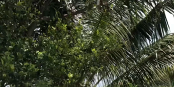 tôi chính chủ chân thành bán đất ngay quốc lộ 57 gần thị trấn thạnh phú