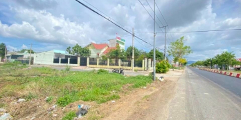 CẮT RA BÁN BỚT 1.200M2 ĐẤT THỔ CƯ SỔ HỒNG RIÊNG, CẠNH KHU CÔNG NGHIỆP, 195 TRIỆU