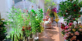 NHÀ MẶT TIỀN KINH DOANH VIP BÌNH THỌ  TP.THỦ ĐỨC,DT372M2  NHỈNH  38 TỶ