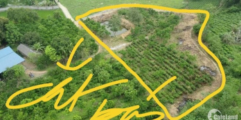 BÁN GẤP SIÊU PHẨM NGHỈ DƯỠNG CÓ DT 3677m2 SẴN KHUÔN VIÊN GIÁ CHỈ 1,x TR/m2