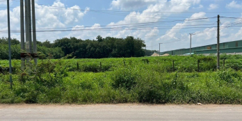 Bán gấp lô đất mặt tiền đường nhựa lớn giá 595tr/lô ( hết giá )